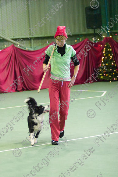 IMG 2694-Edit 
 Keywords: 2008, canine freestyle, competition, connexions leisure centre, coventry, dancing with dogs, december, freestyle, heelwork to music, january, paws and music, paws n music, ryton, ryton on dunsmore, Cathy Bates, WSD, working sheepdog