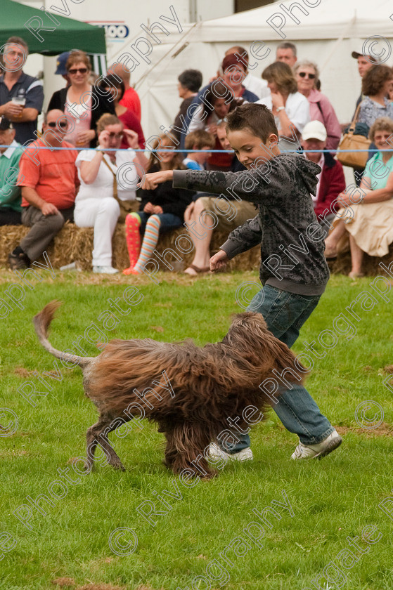 AWC 1438 
 Wanborough Country Show, August 2009, Richard Curtis' K9freestyle Dancing Dog Arena Display 
 Keywords: 2009, arena demonstration, arena display, august, canine freestyle, dog dancing, dog display, England, heelwork to music, k9freestyle, Lynch Field, Lynch Field, Wanborough, Wiltshire, England, UK, richard curtis, UK, wanborough country show, Wanborough, Wiltshire