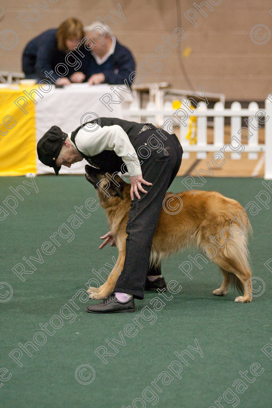 AWC 3691 
 Keywords: 2009, England, UK, Worcester, Worcestershire, april, competition, erica hyde, heelwork to music, westglen