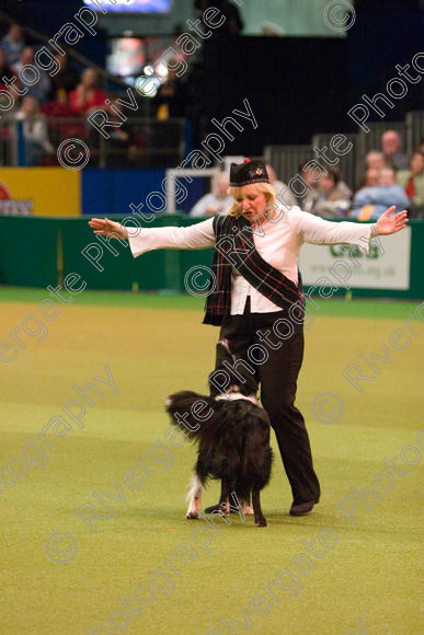 IMG 7348 
 Keywords: 2008, Arena, BC, Display, Kinaway Doctor Watson, NEC, birmingham, border collie, canine freestyle, carole dodson, crufts, dancing, dogs, heelwork to music, htm, march, performance