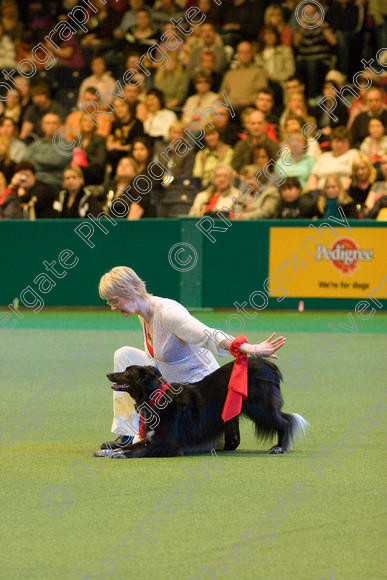 IMG 7410 
 Keywords: 2008, Arena, Display, NEC, birmingham, canine freestyle, crufts, dancing, dogs, heelwork to music, htm, march, nicky joyce, performance