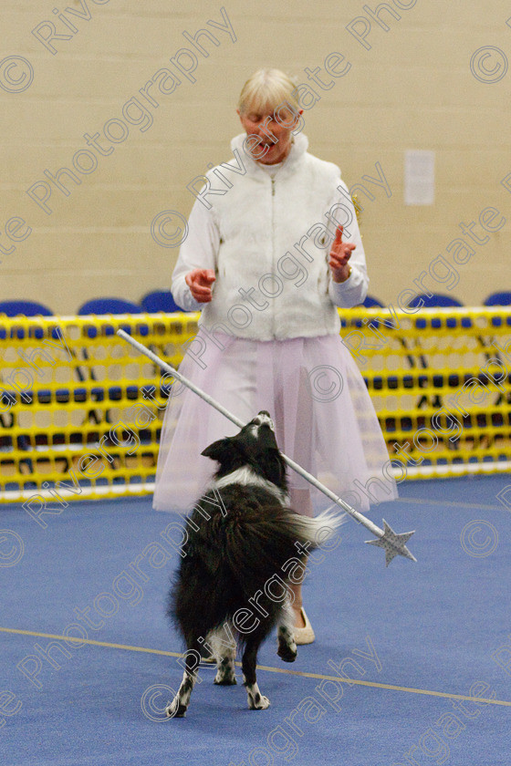 AWC 6820 
 Keywords: 2009, Ann Derizzio, Barnard Castle, Ceri Cariad, Class 6b, County Durham, DL12 8DS, Heather Smith, Judges: Cathy Bates, May, Northern Mutts N Music, Royal Canin, Strathmore Road, Teesdale Sports Centre, canine freestyle, competition, heelwork to music, margaret booth, working sheepdog