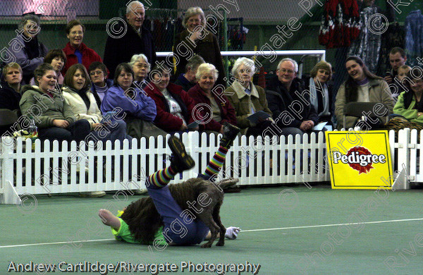 IMG 0866 copy 
 Heelwork to Music and Canine Freestyle events and competition in 2005 held at the Connexion Leisure Centre, Ryton-on-Dunsmore, Coventry. 
 Keywords: 2005, UK, competition, coventry, dog, dog dancing, dog sport, february, heelwork to music, k9freestyle, richard curtis, ryton on dunsmore