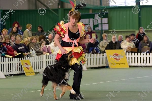 IMG 0024 
 Heelwork to Music and Canine Freestyle events and competition in 2006 held at the Connexion Leisure Centre, Ryton-on-Dunsmore, Coventry. 
 Keywords: 2006, UK, competition, coventry, dog, dog dancing, dog sport, february, heelwork to music, k9freestyle, ryton on dunsmore