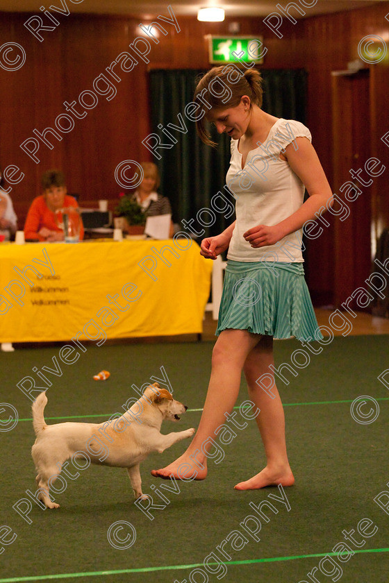 AWC 2689 
 Keywords: 2010, Intermediate Freestyle, Stephanie Hubbard, april, heelwork to music, westglen