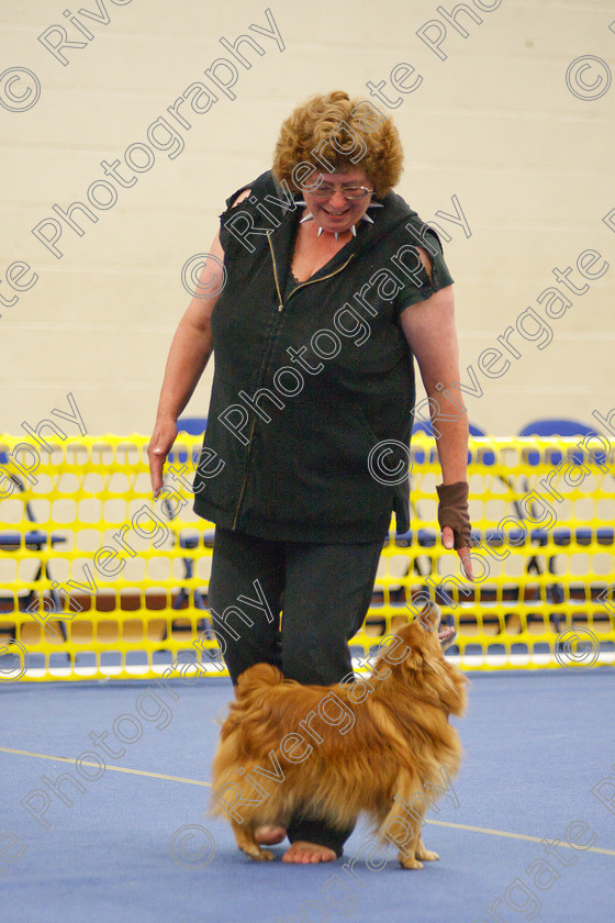 AWC 5743 
 Keywords: 2009, Barnard Castle, County Durham, DL12 8DS, Danny Dances Daintily, May, Northern Mutts N Music, Novice Heelwork to Music, Royal Canin, Strathmore Road, Teesdale Sports Centre, canine freestyle, carol mortimer, competition, german spitz, heelwork to music