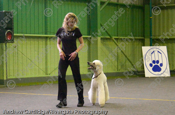 IMG 0128 
 Heelwork to Music and Canine Freestyle events and competition in 2005 held at the Connexion Leisure Centre, Ryton-on-Dunsmore, Coventry. 
 Keywords: 2005, June, UK, competition, coventry, dog, dog dancing, dog sport, heelwork to music, k9freestyle, ryton on dunsmore