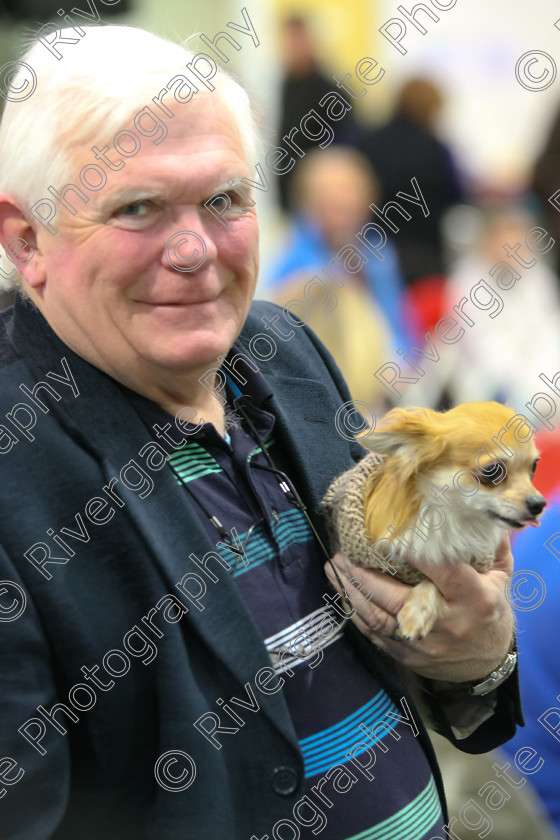 AWC 9262 
 Keywords: 2011, competition, heelwork to music, january, kennel club building, rugby dog training club, stoneleigh