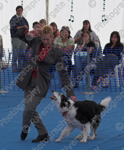 IMG 0019-01 
 Paws in the Park, 2005 MDS Shows Ltd Canford Park Arena, Poole, Dorset.