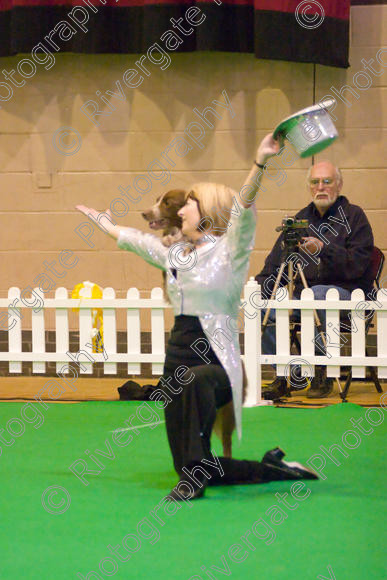 IMG 8650 
 Heelwork to Music and Canine Freestyle Competitions held at Westglen in April 2008 
 Keywords: 2008, Bilford Road, Perdiswell Leisure Centre, WR3 8DX, Worcester, april, cath hardman, competition, heelwork to music, westglen, kath hardman, advanced, htm