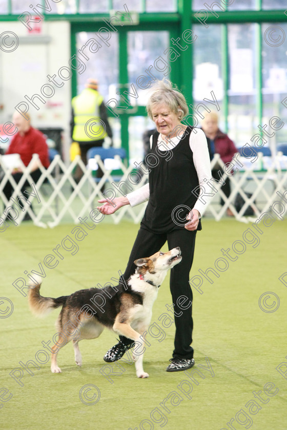 AWC 0224 
 Keywords: heelwork to music competition, rugby dog club