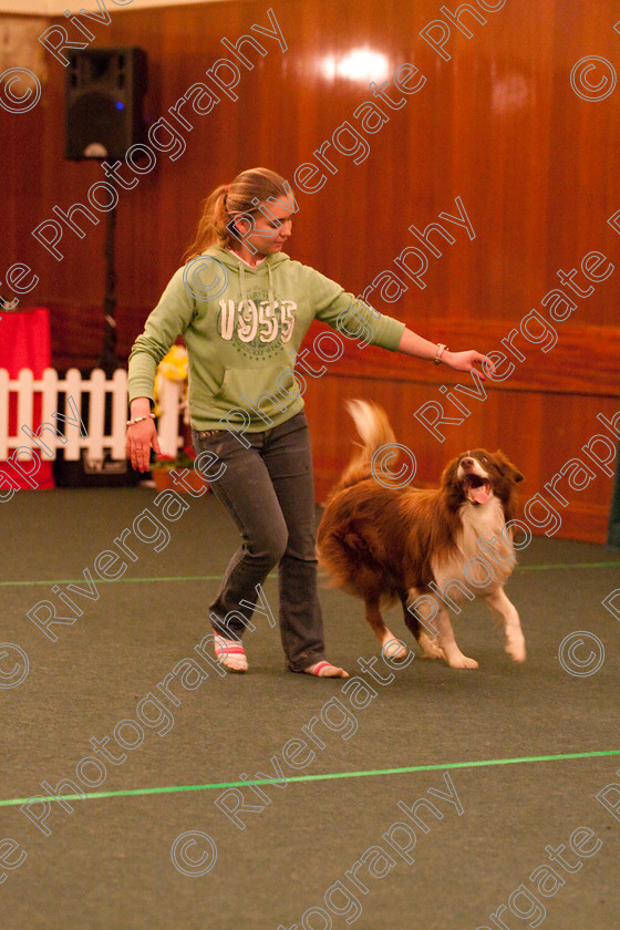 AWC 2890 
 Keywords: 2010, Nicci Hindson, Novice Freestyle Part 1, april, heelwork to music, westglen