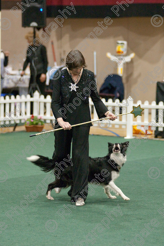 AWC 4050 
 Keywords: 2009, England, UK, Worcester, Worcestershire, april, competition, heelwork to music, sue betteridge, westglen