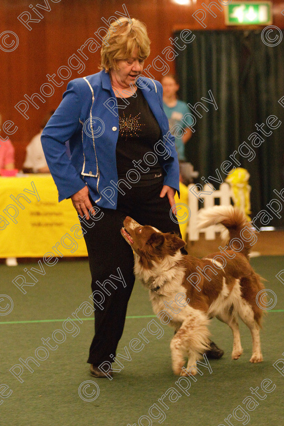 AWC 2034 
 Keywords: 2010, april, competition, heelwork to music, intermediate heelwork to music part 1, pat parsons, westglen