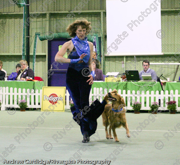 IMG 1121 
 Heelwork to Music and Canine Freestyle events and competition in 2005 held at the Connexion Leisure Centre, Ryton-on-Dunsmore, Coventry. 
 Keywords: 2005, UK, competition, coventry, dog, dog dancing, dog sport, february, heelwork to music, k9freestyle, ryton on dunsmore