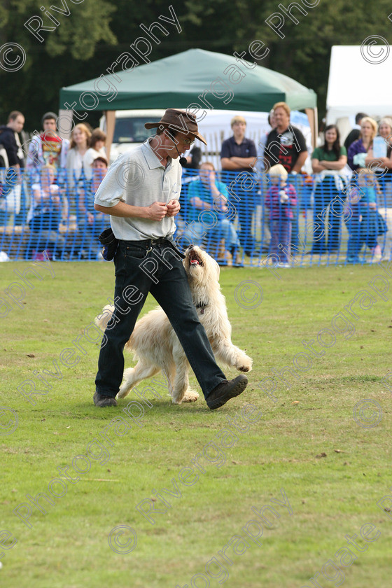 AWC 7017 
 Keywords: 2010, Chobham, Millbrook Animal Centre, RSPCA, Richard Curtis, arena demonstration, september