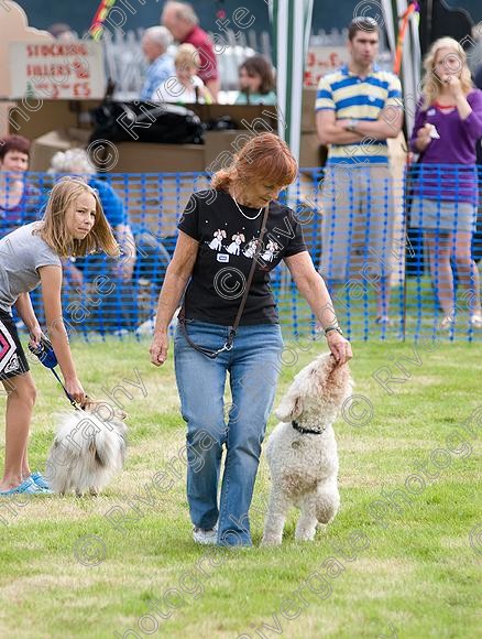 IMG 9989 
 RSPCA Milbrook, Chobham, Woking, 2007, charity day 
 Keywords: 2007, Chobham, Milbrook, RSPCA, september