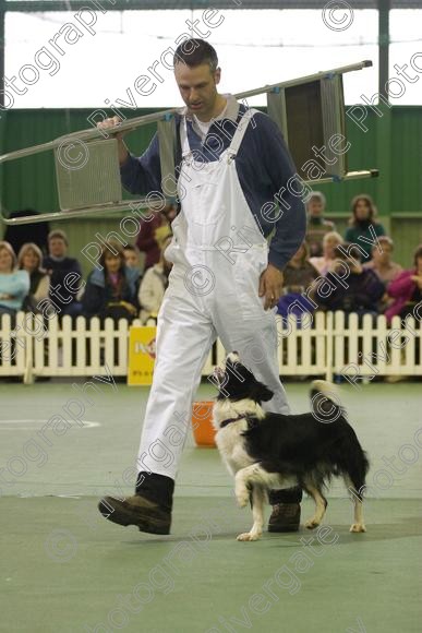 IMG 0114 
 Heelwork to Music and Canine Freestyle events and competition in 2006 held at the Connexion Leisure Centre, Ryton-on-Dunsmore, Coventry. 
 Keywords: 2006, UK, competition, coventry, dog, dog dancing, dog sport, february, heelwork to music, k9freestyle, ryton on dunsmore