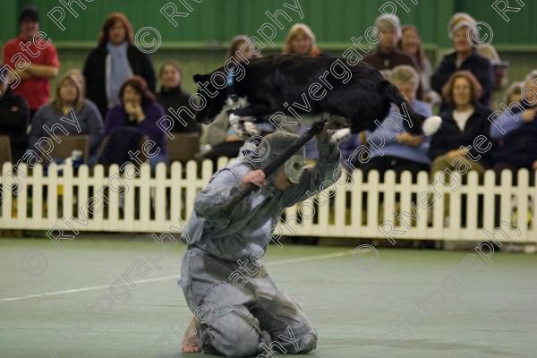 IMG 0055 
 Heelwork to Music and Canine Freestyle events and competition in 2006 held at the Connexion Leisure Centre, Ryton-on-Dunsmore, Coventry. 
 Keywords: 2006, UK, competition, coventry, dog, dog dancing, dog sport, february, heelwork to music, k9freestyle, ryton on dunsmore