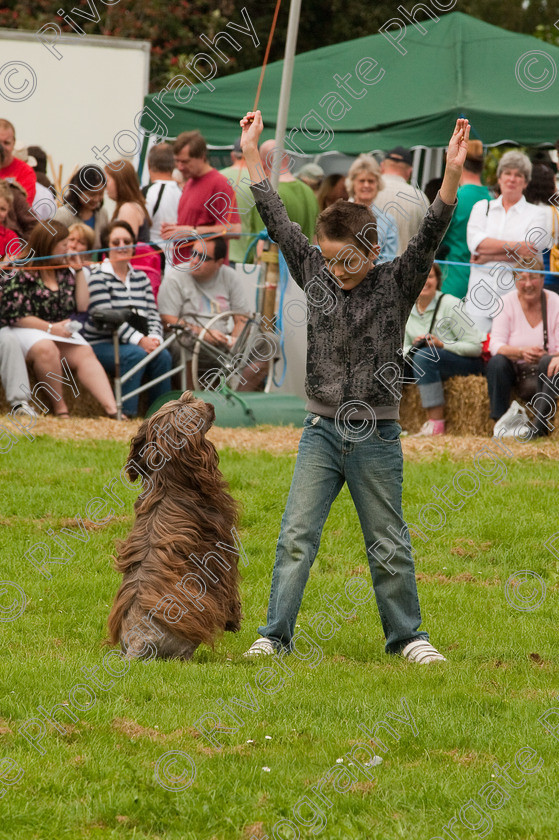 AWC 1469 
 Wanborough Country Show, August 2009, Richard Curtis' K9freestyle Dancing Dog Arena Display 
 Keywords: 2009, arena demonstration, arena display, august, canine freestyle, dog dancing, dog display, England, heelwork to music, k9freestyle, Lynch Field, Lynch Field, Wanborough, Wiltshire, England, UK, richard curtis, UK, wanborough country show, Wanborough, Wiltshire