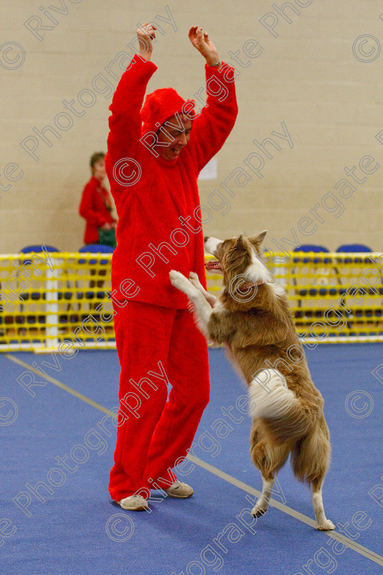 AWC 6775 
 Keywords: 2009, Ann Derizzio, Barnard Castle, Class 6b, County Durham, DL12 8DS, Heather Smith, Judges: Cathy Bates, May, Northern Mutts N Music, Royal Canin, Stillmore Lily the pink at Jessiebees, Strathmore Road, Teesdale Sports Centre, border collie, canine freestyle, competition, heelwork to music, maggie backhouse