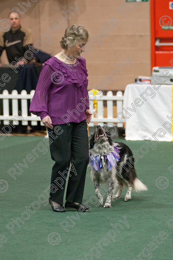 AWC 3312 
 Keywords: 2009, England, UK, Worcester, Worcestershire, april, competition, heelwork to music, lesley brocklehurst, westglen