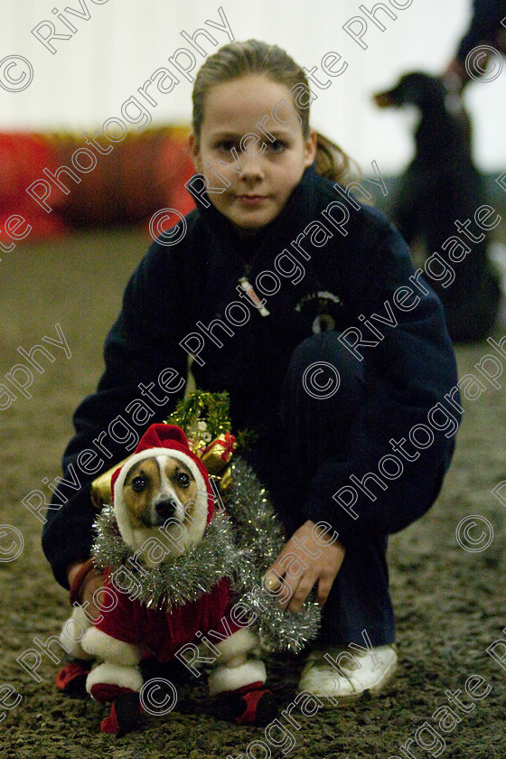 AWC 8070 
 Keywords: 2009, Fancy Dress, Xmas Party, december, dogs, wellow agility club