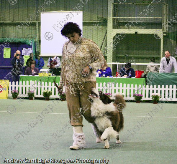 IMG 1140 
 Heelwork to Music and Canine Freestyle events and competition in 2005 held at the Connexion Leisure Centre, Ryton-on-Dunsmore, Coventry. 
 Keywords: 2005, UK, ann de rizzio, competition, coventry, dog, dog dancing, dog sport, february, heelwork to music, k9freestyle, ryton on dunsmore