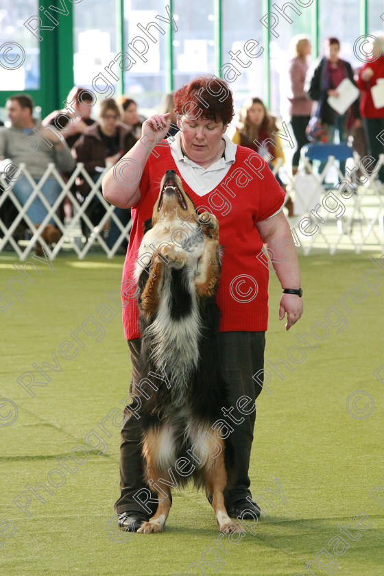 AWC 0581 
 Keywords: heelwork to music competition, rugby dog club