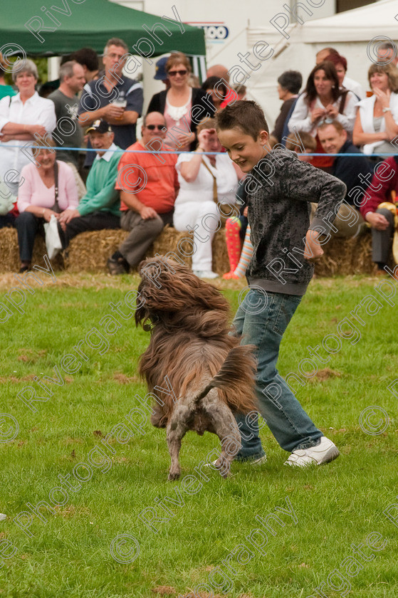 AWC 1441 
 Wanborough Country Show, August 2009, Richard Curtis' K9freestyle Dancing Dog Arena Display 
 Keywords: 2009, arena demonstration, arena display, august, canine freestyle, dog dancing, dog display, England, heelwork to music, k9freestyle, Lynch Field, Lynch Field, Wanborough, Wiltshire, England, UK, richard curtis, UK, wanborough country show, Wanborough, Wiltshire