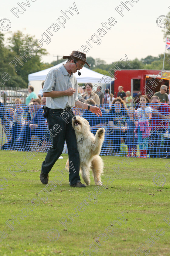 AWC 6975 
 Keywords: 2010, Chobham, Millbrook Animal Centre, RSPCA, Richard Curtis, arena demonstration, september