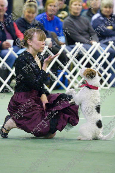 IMG 6804 
 Keywords: 2008, K9 Freestyle, Rugby DTC, canine freestyle, competition, connexions leisure centre, coventry, dancing dogs, february, heelwork to music, k9freestylegb, ryton on dunsmore