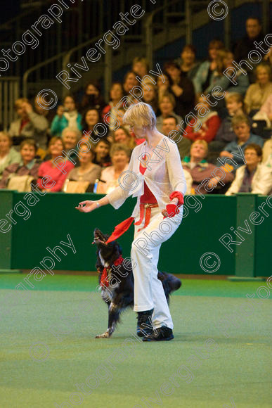 IMG 7386 
 Keywords: 2008, Arena, Display, NEC, birmingham, canine freestyle, crufts, dancing, dogs, heelwork to music, htm, march, nicky joyce, performance