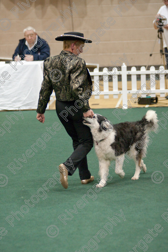 AWC 3692 
 Keywords: 2009, England, UK, Worcester, Worcestershire, april, competition, glory lynham, heelwork to music, westglen