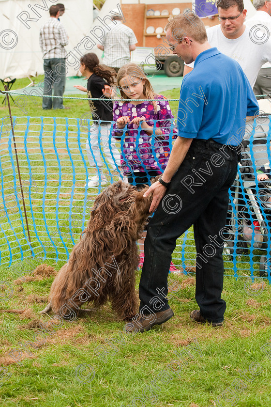 AWC 1551 
 Wanborough Country Show, August 2009, Richard Curtis' K9freestyle Dancing Dog Arena Display 
 Keywords: 2009, arena demonstration, arena display, august, canine freestyle, dog dancing, dog display, England, heelwork to music, k9freestyle, Lynch Field, Lynch Field, Wanborough, Wiltshire, England, UK, richard curtis, UK, wanborough country show, Wanborough, Wiltshire