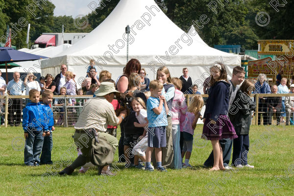 IMG 3509 
 Hatfield House Country Show 2008 Birds of Prey and Falconry 
 Keywords: Hatfield House Country Show, Birds of Prey, Falconry, Arena Demonstration, James McKay and son.