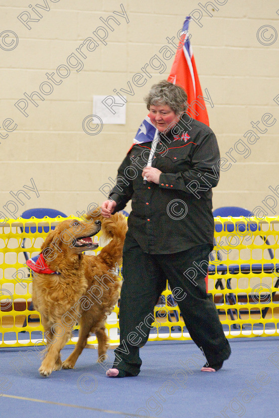 AWC 5766 
 Keywords: 2009, Barnard Castle, Bennett, Chris, County Durham, DL12 8DS, Jenakir Go For Gold, May, Northern Mutts N Music, Novice Heelwork to Music, Royal Canin, Strathmore Road, Teesdale Sports Centre, canine freestyle, competition, golden retriever, heelwork to music