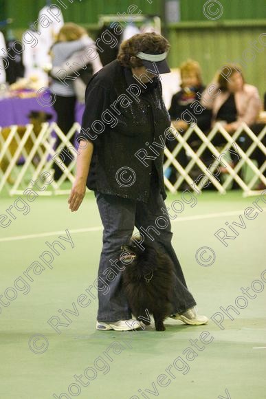 IMG 5834 
 Keywords: 2008, K9 Freestyle, Rugby DTC, canine freestyle, competition, connexions leisure centre, coventry, dancing dogs, february, heelwork to music, , ryton on dunsmore