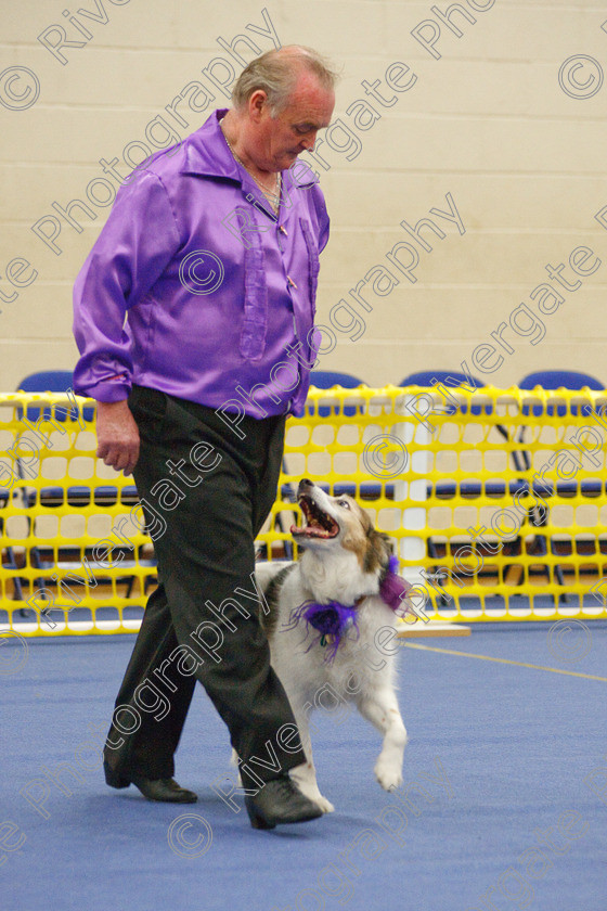 AWC 5778 
 Keywords: 2009, Barnard Castle, County Durham, DL12 8DS, Lady Cas of Long Bridge, May, Northern Mutts N Music, Novice Heelwork to Music, Phil Dunford, Royal Canin, Strathmore Road, Teesdale Sports Centre, canine freestyle, competition, heelwork to music