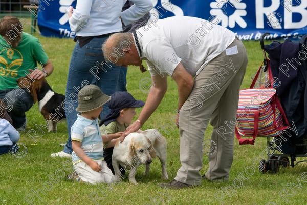 IMG 3204 
 Hatfield House Country Show 2008 Albany Bassett Hounds 
 Keywords: albany bassett hounds, hatfield house country show, meet and greet, pet, stroke