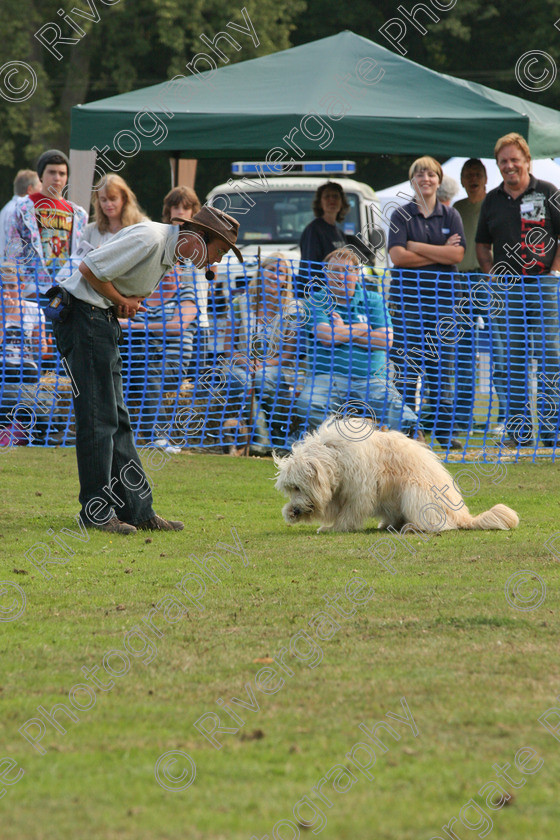 AWC 6960 
 Keywords: 2010, Chobham, Millbrook Animal Centre, RSPCA, Richard Curtis, arena demonstration, september