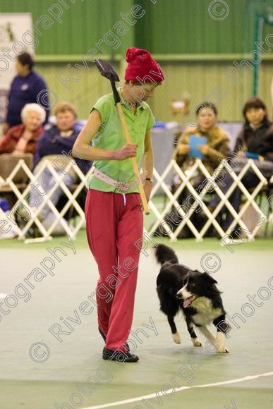 IMG 5802 
 Keywords: 2008, K9 Freestyle, Rugby DTC, canine freestyle, competition, connexions leisure centre, coventry, dancing dogs, february, heelwork to music, , ryton on dunsmore