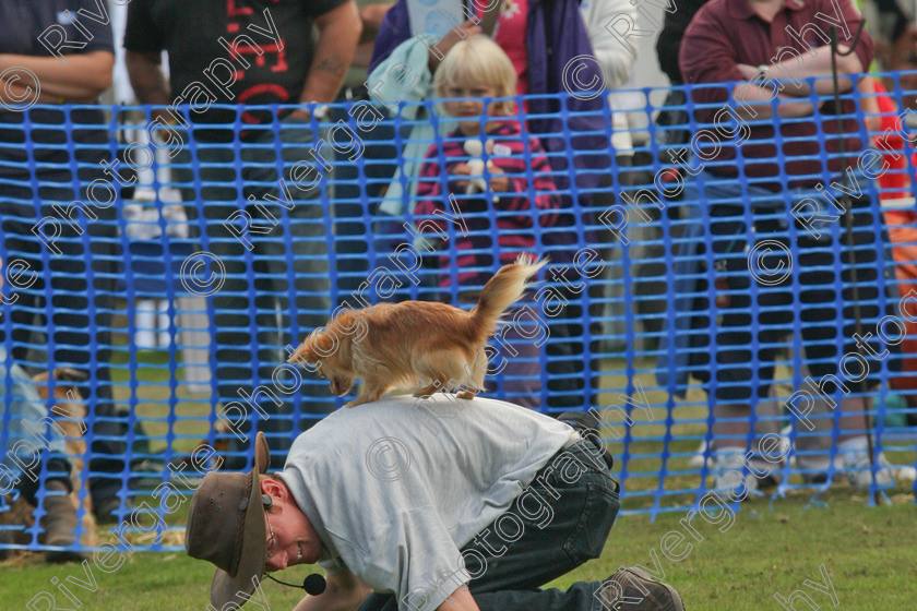 AWC 7155 
 Keywords: 2010, Chobham, Millbrook Animal Centre, RSPCA, Richard Curtis, arena demonstration, september