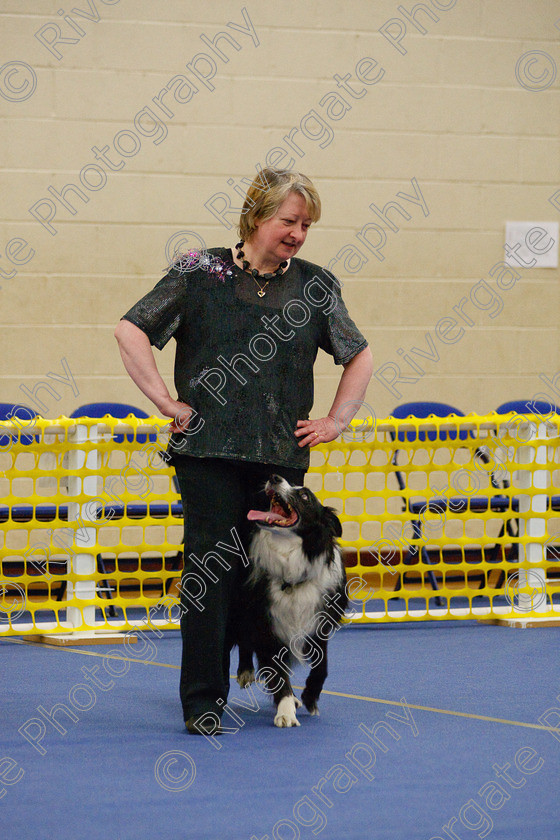 AWC 5874 
 Keywords: 2009, Barbara Whittaker, Barnard Castle, Belverdale Wesley, County Durham, DL12 8DS, Intermediate Heelwork to Music, May, Northern Mutts N Music, Royal Canin, Strathmore Road, Teesdale Sports Centre, border collie, canine freestyle, competition, heelwork to music