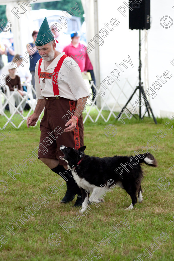 AWC 7926 
 Keywords: 2009, England, June, MDS Ltd, Paws in the Park, UK, broadlands, competition, hampshire, heelwork to music, paws and music, paws n music, romsey