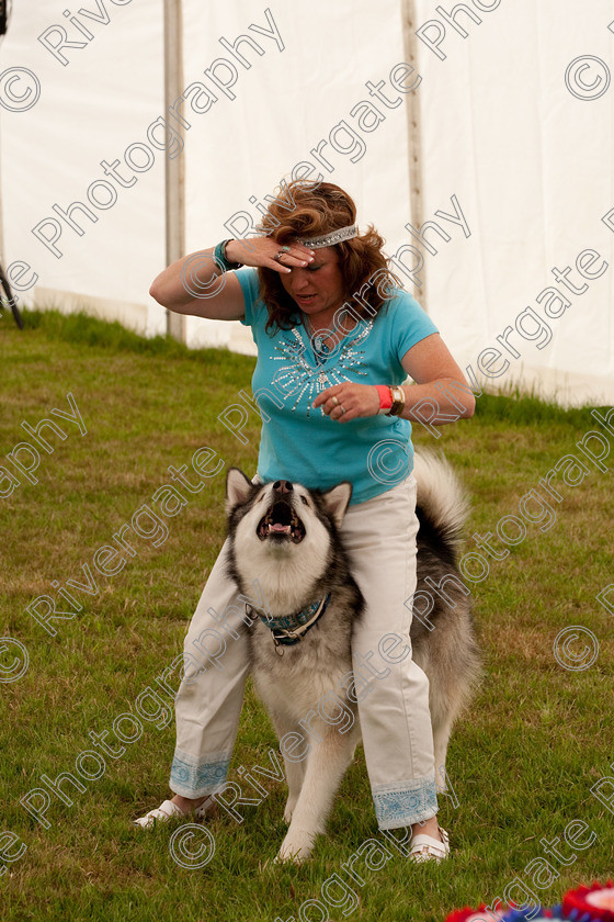 AWC 8243 
 Keywords: 2009, England, June, MDS Ltd, Paws in the Park, UK, broadlands, competition, hampshire, heelwork to music, paws in music, romsey