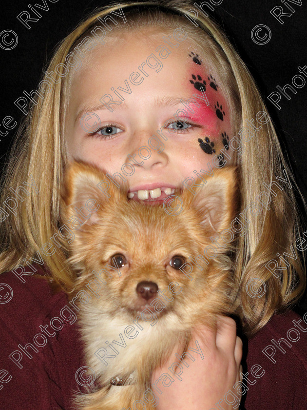 IMG 2456 
 Keywords: 2009, betty, discover dogs, earls court, Chihuahua cross, Chiwawa Dog, Cross Breed, cute, Pomeranian cross, portrait, puppy, richard curtis' dogs, small dog, child, face painting