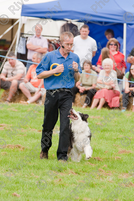 AWC 1339 
 Wanborough Country Show, August 2009, Richard Curtis' K9freestyle Dancing Dog Arena Display 
 Keywords: 2009, arena demonstration, arena display, august, canine freestyle, dog dancing, dog display, England, heelwork to music, k9freestyle, Lynch Field, Lynch Field, Wanborough, Wiltshire, England, UK, richard curtis, UK, wanborough country show, Wanborough, Wiltshire