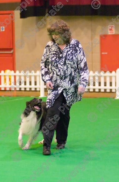 IMG 8516 
 Heelwork to Music and Canine Freestyle Competitions held at Westglen in April 2008 
 Keywords: 2008, Bilford Road, Perdiswell Leisure Centre, WR3 8DX, Worcester, april, competition, heelwork to music, westglen, paula ackary