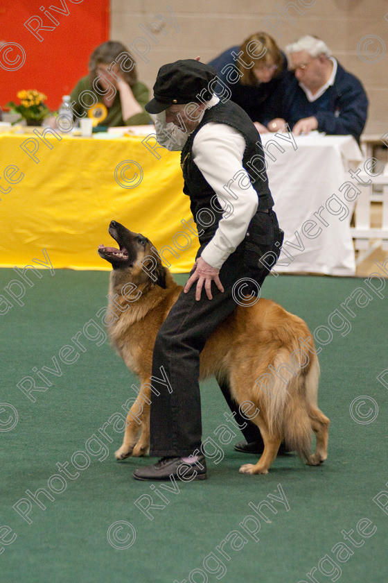 AWC 3690 
 Keywords: 2009, England, UK, Worcester, Worcestershire, april, competition, erica hyde, heelwork to music, westglen